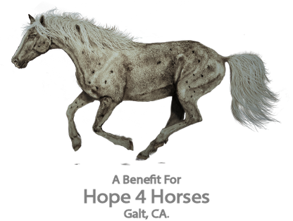 Running Horses A Benefit for Hope 4 Horses Racerback Tank Top